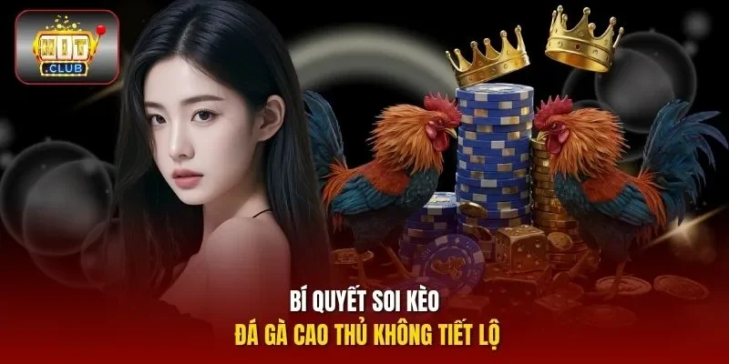 Bí quyết soi kèo đá gà cao thủ không tiết lộ