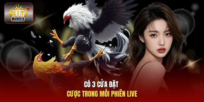 Có 3 cửa đặt cược trong mỗi phiên live