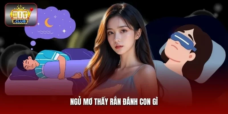 Ngủ mơ thấy rắn đánh con gì