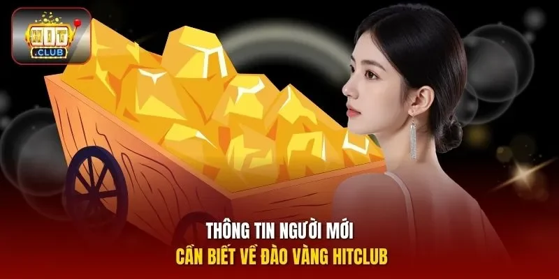Thông tin người mới cần biết về Đào Vàng Hitclub